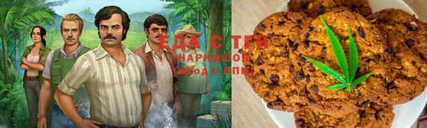 ГАЛЛЮЦИНОГЕННЫЕ ГРИБЫ Аркадак
