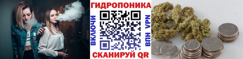 Конопля ГИДРОПОН  как найти закладки  Ливны 